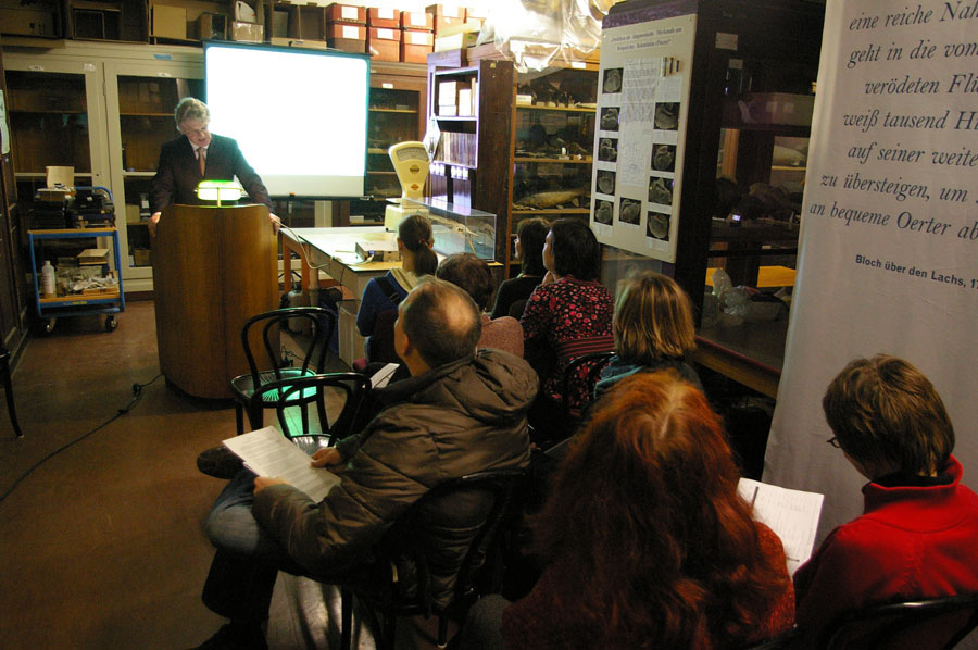 11Schaedel_schultkaIMG0019