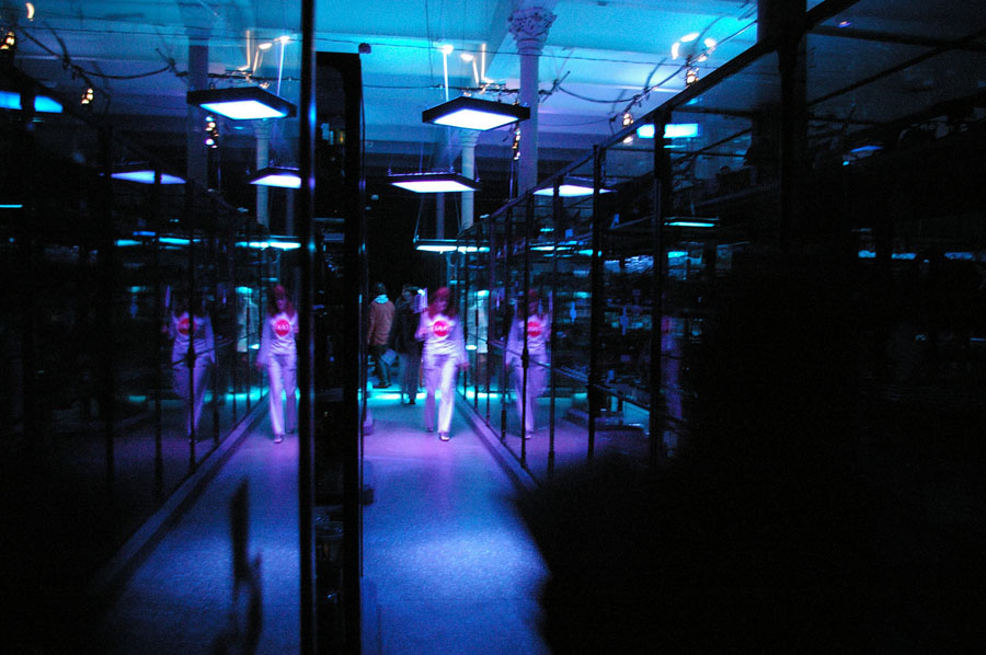 13Fischsaal_TaxiIMGP8534