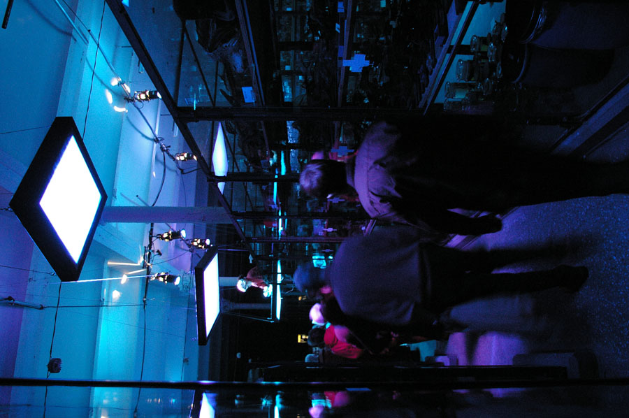 15Fischsaal1IMGP8502