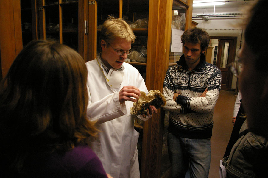 18cKorallen_LueterMGP8523