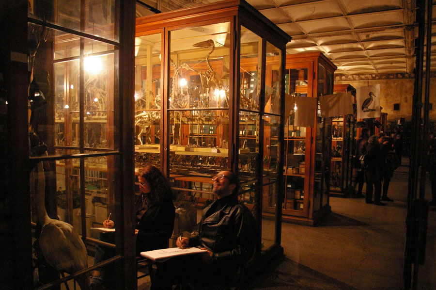 20Vogelsaal_1IMGP8569