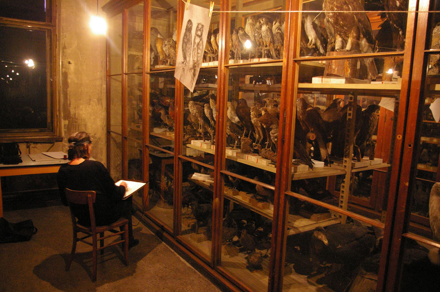 21Vogelsaal3IMGP8844