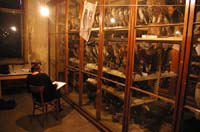 21Vogelsaal3IMGP8844