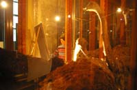 23Vogelsaal_schuckIMGP8576