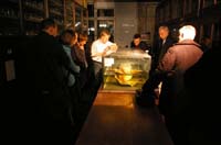 28TintenfischIMGP8593